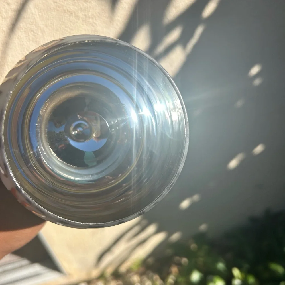 Rare Pier 1 Imports Zebra Frosted Satin Wine Glass